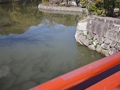 -鹤冈八幡宫