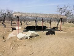 -西安秦岭野生动物园