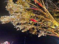 -淄博花灯齐彩城
