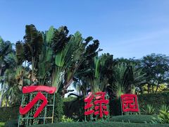 -万绿园