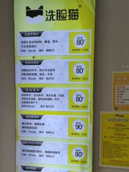 -洗脸猫·洗脸吧