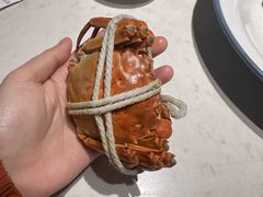 -杨氏青龙虾·羊蝎子(金盛路总店)