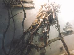 -荔城生鲜盛宴(番禺旗舰店)