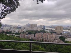 -福道