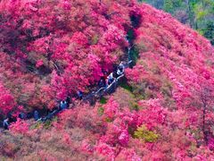 -木兰云雾山