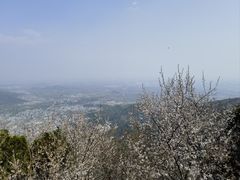 -香山公园