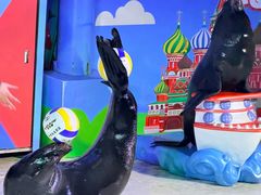 -成都浩海立方海洋公园