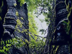 -梭布垭石林景区