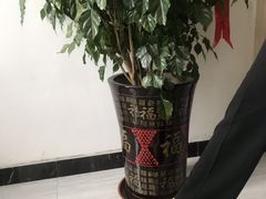 -汐悦汇足疗·星级·订制·唤醒SPA(西客站)