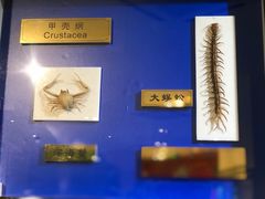 -上海昆虫博物馆