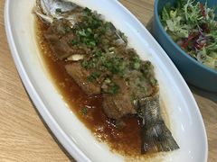 -喜上喜鸡煲翅(吉大店)