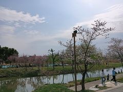 -长田漾湿地公园