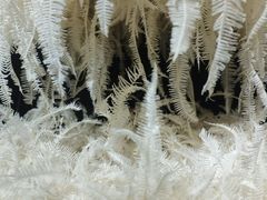 -成都许燎源现代设计艺术博物馆