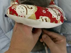 -百信宠物医院(东升街店)