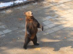 -大连森林动物园