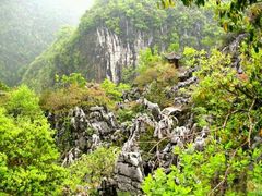 android_upload_pic-千岛湖石林