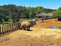 -沈阳森林动物园