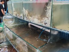 -蟹谢蒸鲜自助餐厅
