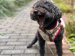 -达爱动物医院·犬猫分区·CT·复杂眼科(远洋山水分院)