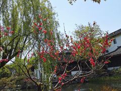 -东山雕花楼
