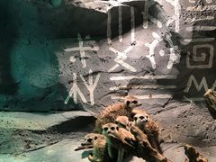 -壹盏灯(惠农店)