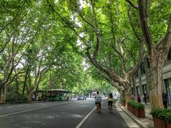 -江南春(中山中路店)