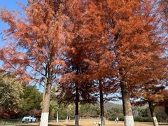 -南山风景名胜区