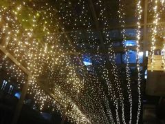 -虚荣精酿酒屋(五羊店)