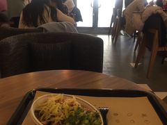 -油梨树 AVOCADO TREE(亮马桥店)