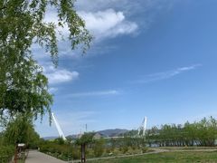 -永定河休闲森林公园