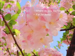 -海棠花溪(元大都城垣遗址公园)