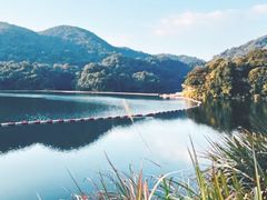 -广州市石门国家森林公园