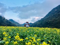 -广州市石门国家森林公园