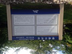 汉拿树木园-汉拿树木园