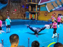 -烟台海昌鲸鲨海洋公园