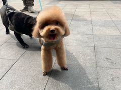 -心仪动物医院·牙专科·肿瘤·心脏科(西客站院)