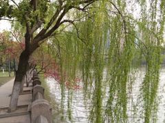 景点-运河游船(武林门码头)