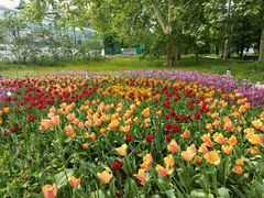 -国家植物园南园