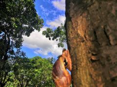 -深圳市人才园(深南大道店)