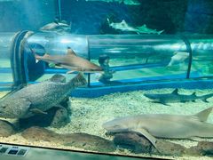 -福州罗源湾海洋世界旅游区