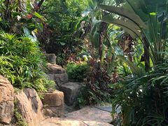 -凤岭儿童公园