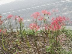 -南京金牛湖风景区