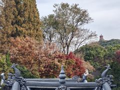 -惠山古镇·寄畅园