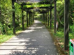 -九龙潭景区
