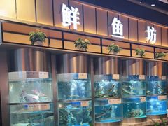 -老船舫·现做活鲜鱼馆(东郊记忆店)