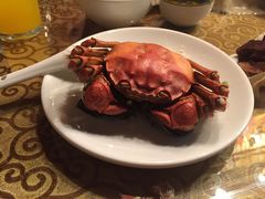 -北塘海鲜·天津菜(大光明桥旗舰店)