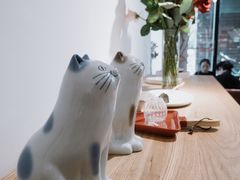 -猫里有甜