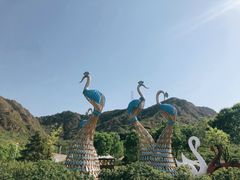 -密云玫瑰情园