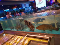 水产区-王庄阿咪海鲜大排档(象园店)