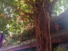 -三亚千古情景区